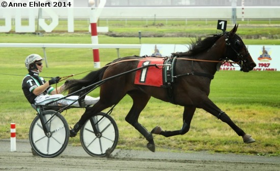 Lilu Hanover