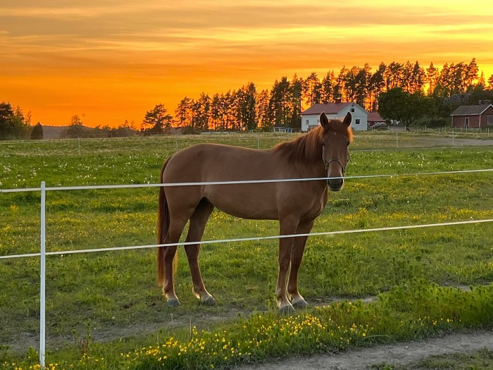 Tantratar