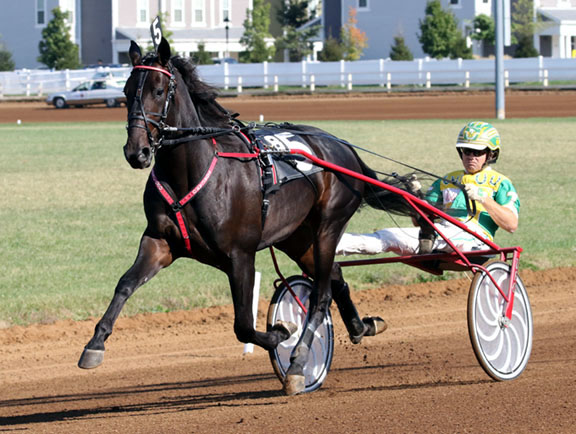 Walner